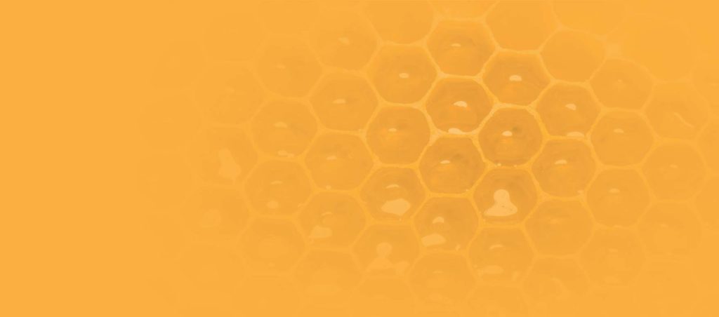MEL.COM.BR – Site do Mel