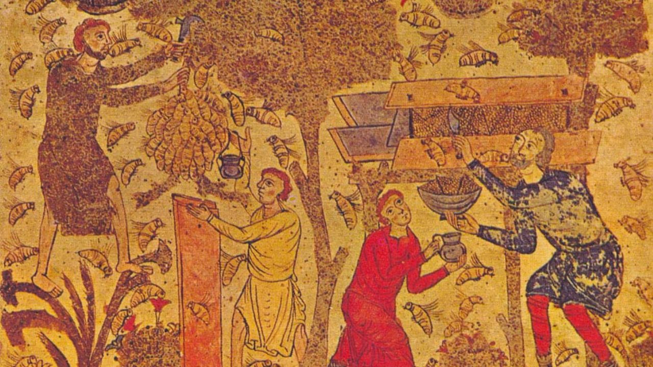 precisamente Consejos Continuo A história da Apicultura - Desde o Egito e até hoje