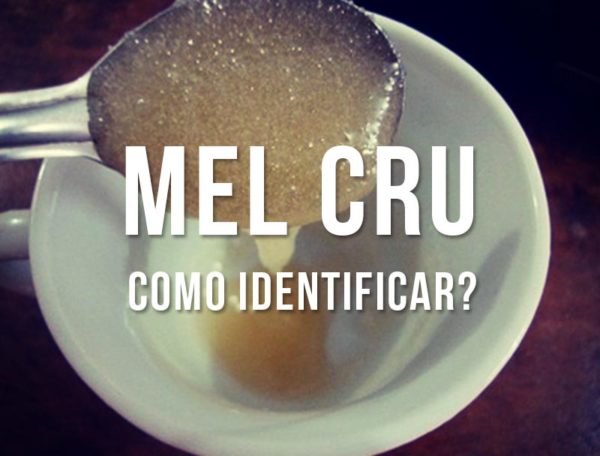 O que é mel cru -Como identificar se é puro.