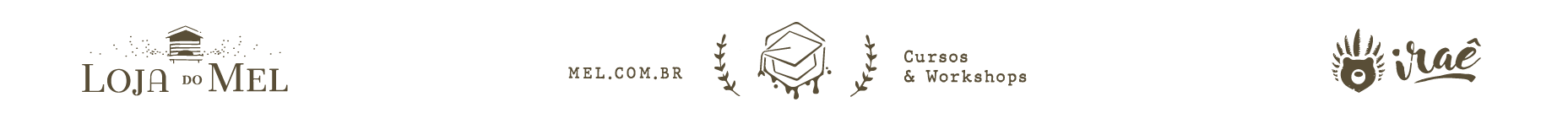 cursos-apicultura-hidromel-jatai-meliponicultura-sao-paulo-sp-apacame-23
