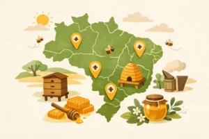 Mapa de Apiários Brasil: como usar bem