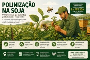 Polinização Agrícola: Guia Completo para Aumentar a Produtividade no Campo