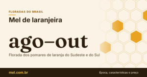 Mel de laranjeira: época da florada, características e preço