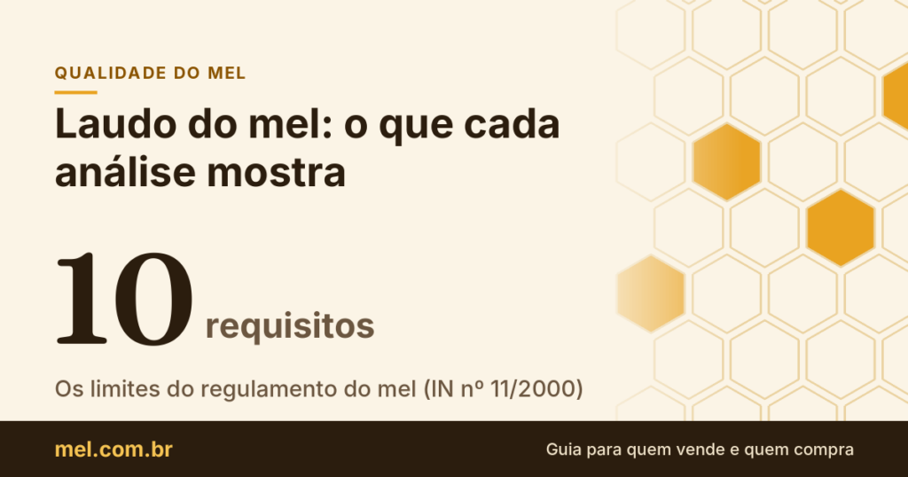 Laudo do mel: o que significa cada análise e quais são os limites