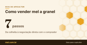 Como vender mel a granel: o passo a passo do apicultor